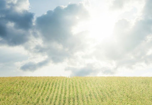 IPv6 in Rural Communities - Hogg Networking