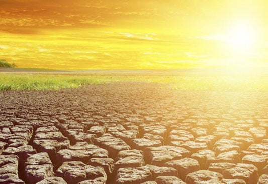 Only You Can Prevent IPv6 Prefix Disaggregation - Hogg Networking